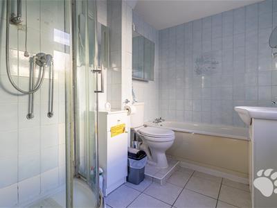 Picture 21